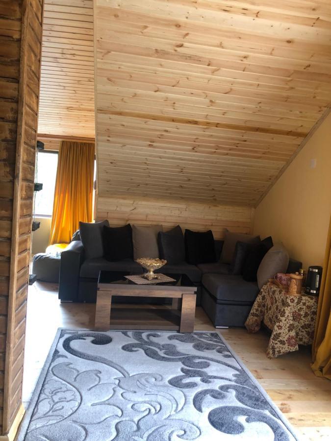 Hotel Nestt Kazbegi Εξωτερικό φωτογραφία