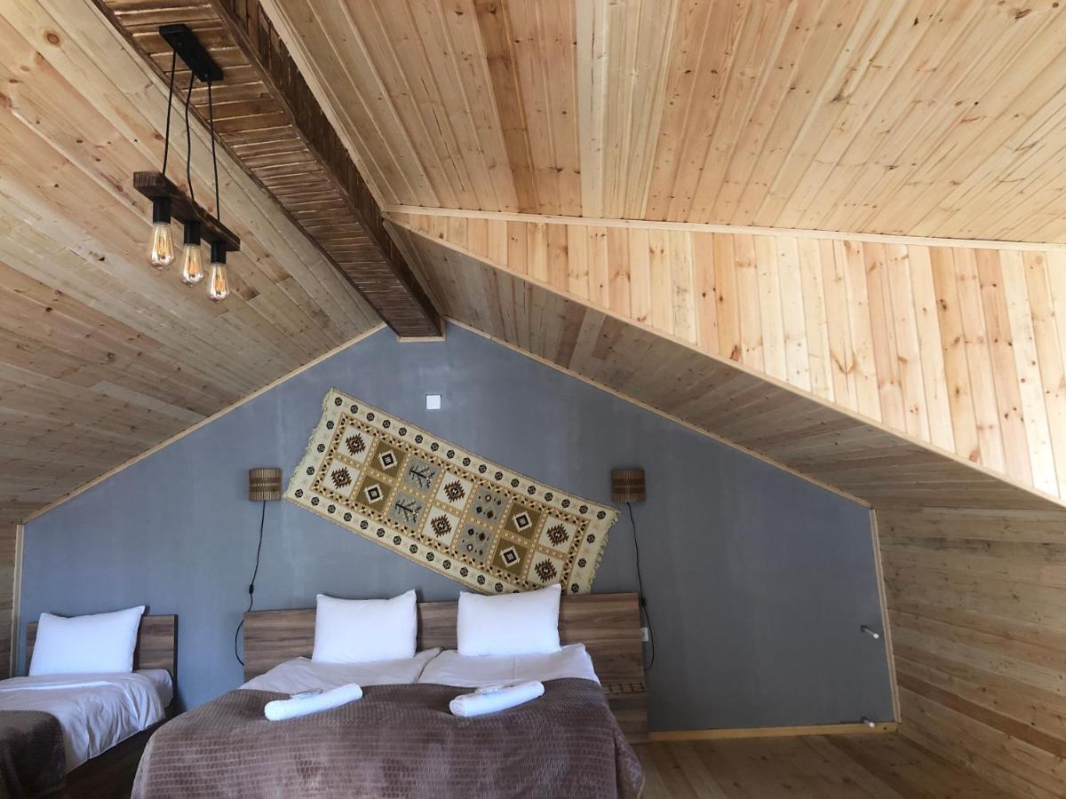 Hotel Nestt Kazbegi Εξωτερικό φωτογραφία