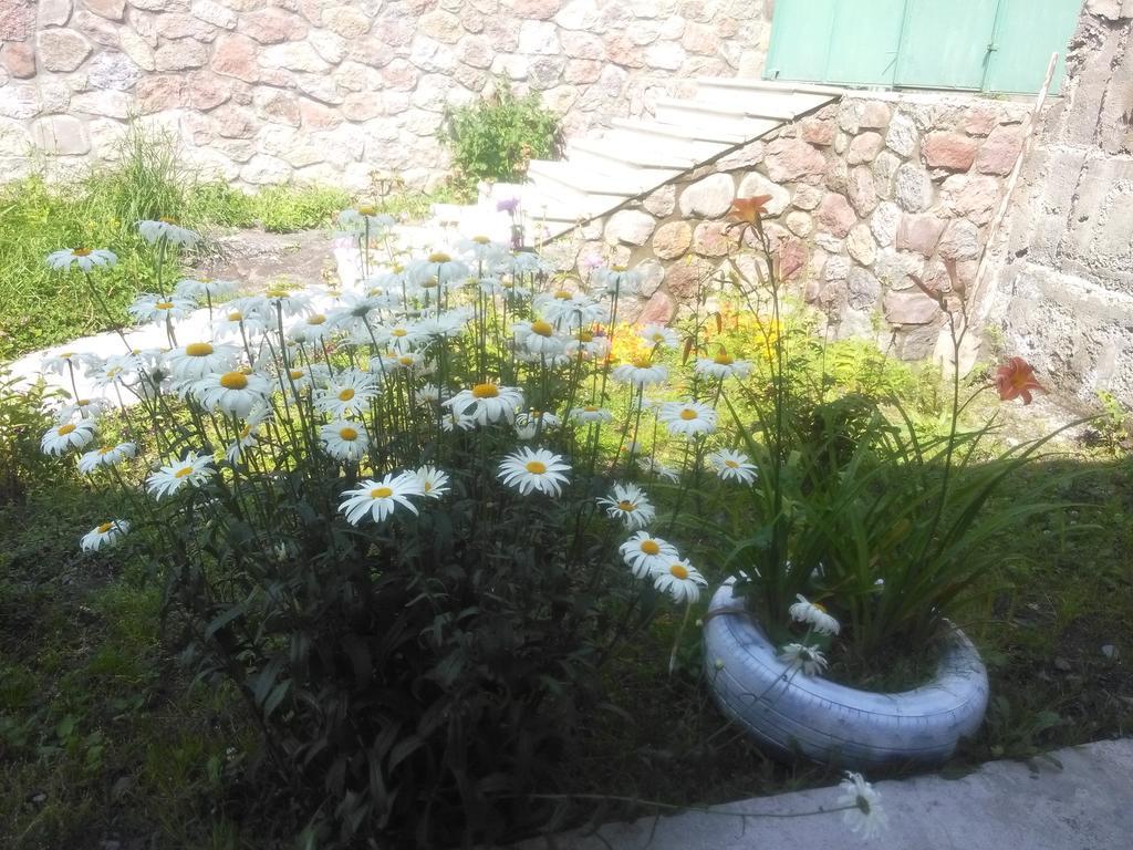 Hotel Nestt Kazbegi Εξωτερικό φωτογραφία