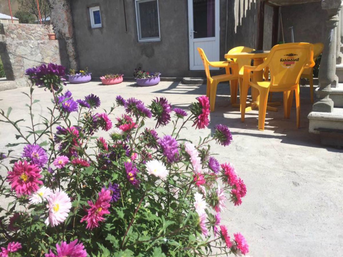 Hotel Nestt Kazbegi Εξωτερικό φωτογραφία